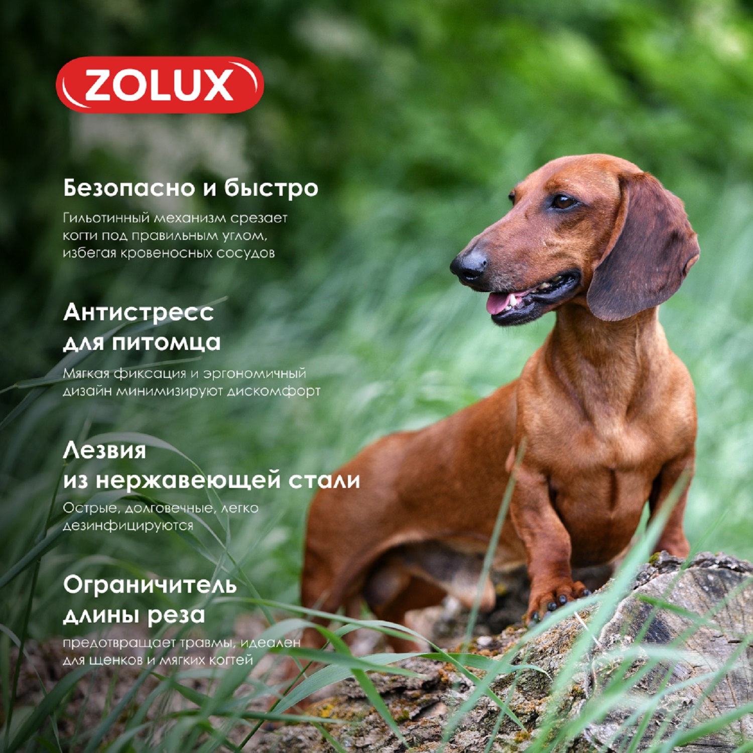Когтерез-гильотина для собак Zolux для подрезания когтей S - фото 5