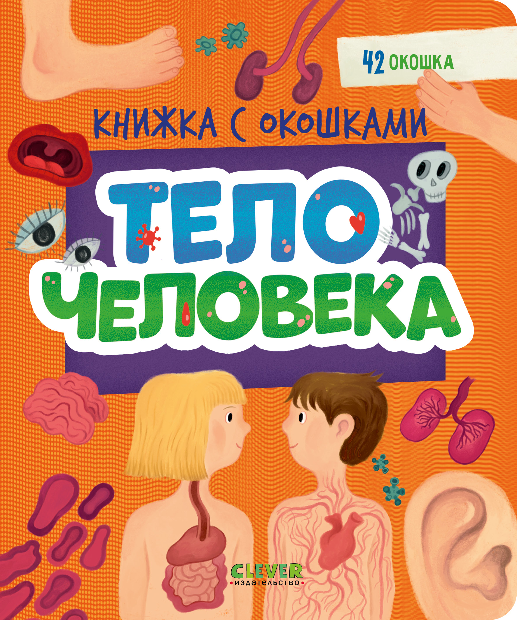 Книжка с окошками Clever Тело человека - фото 1