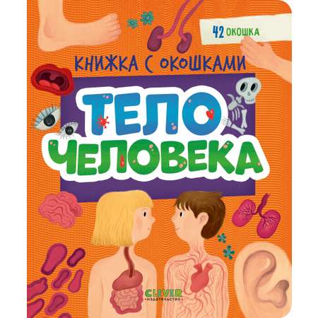 Книжка с окошками Clever Тело человека