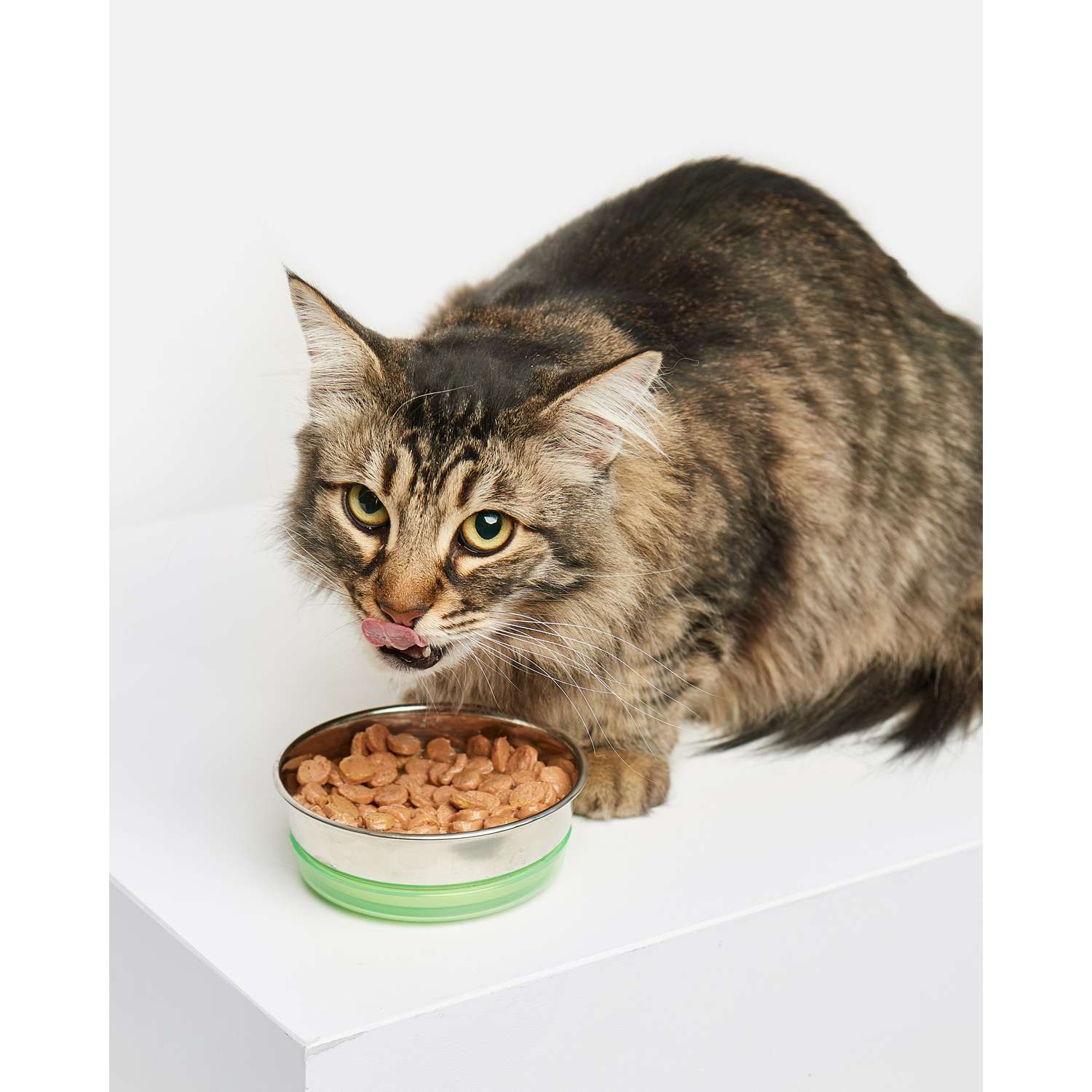 Корм для кошек Carnica 85г из утки для чувствительного пищеварения кусочки в соусе полнорационный консервированный - фото 2