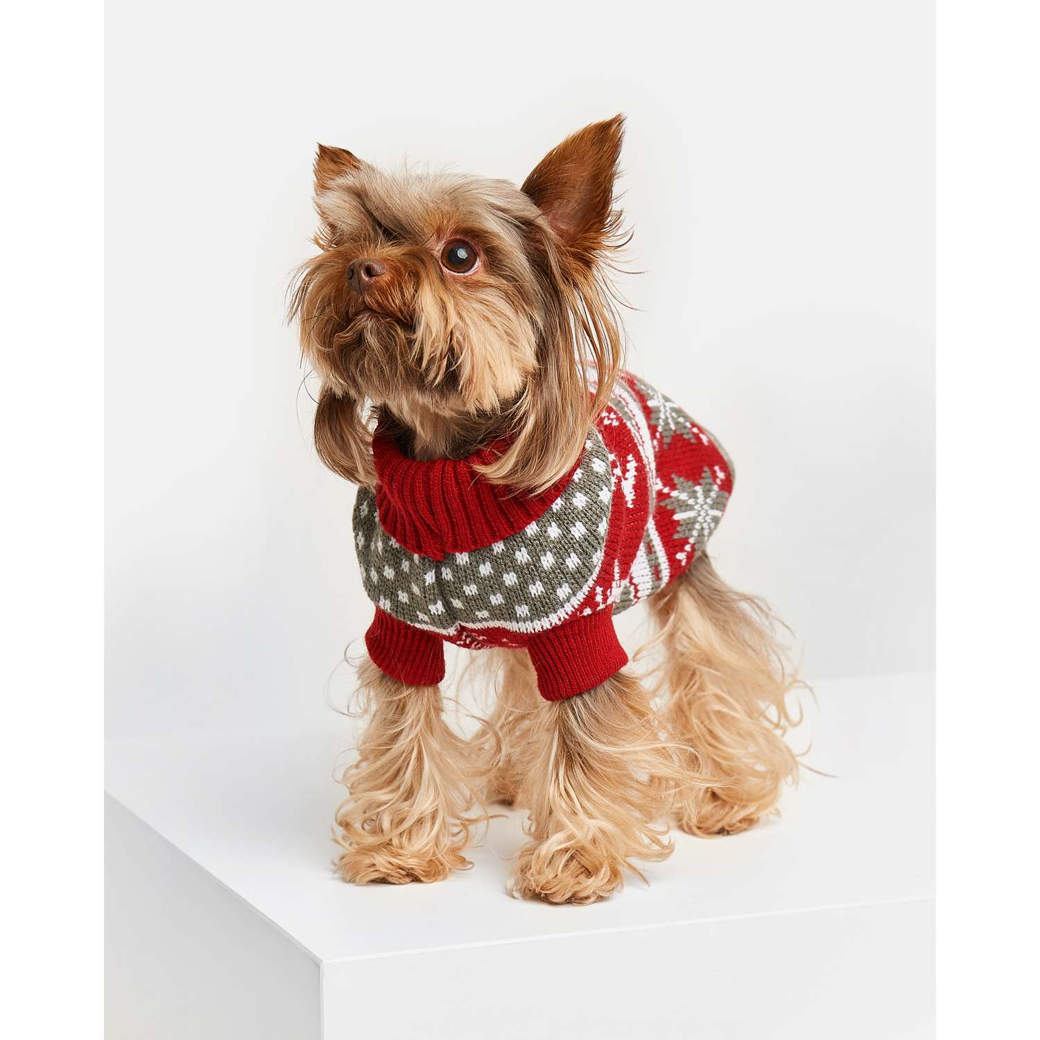 свитер для собаки - самый большой выбор товаров для домашних любимцев по всей Украине