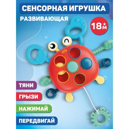Игрушка развивающая Smart Baby Крабик Сортер Прорезыватель для малышей