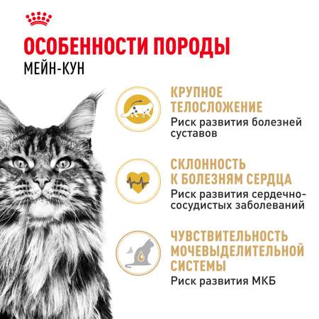 Корм сухой для кошек ROYAL CANIN Maine Coon 2кг породы мейн-кун