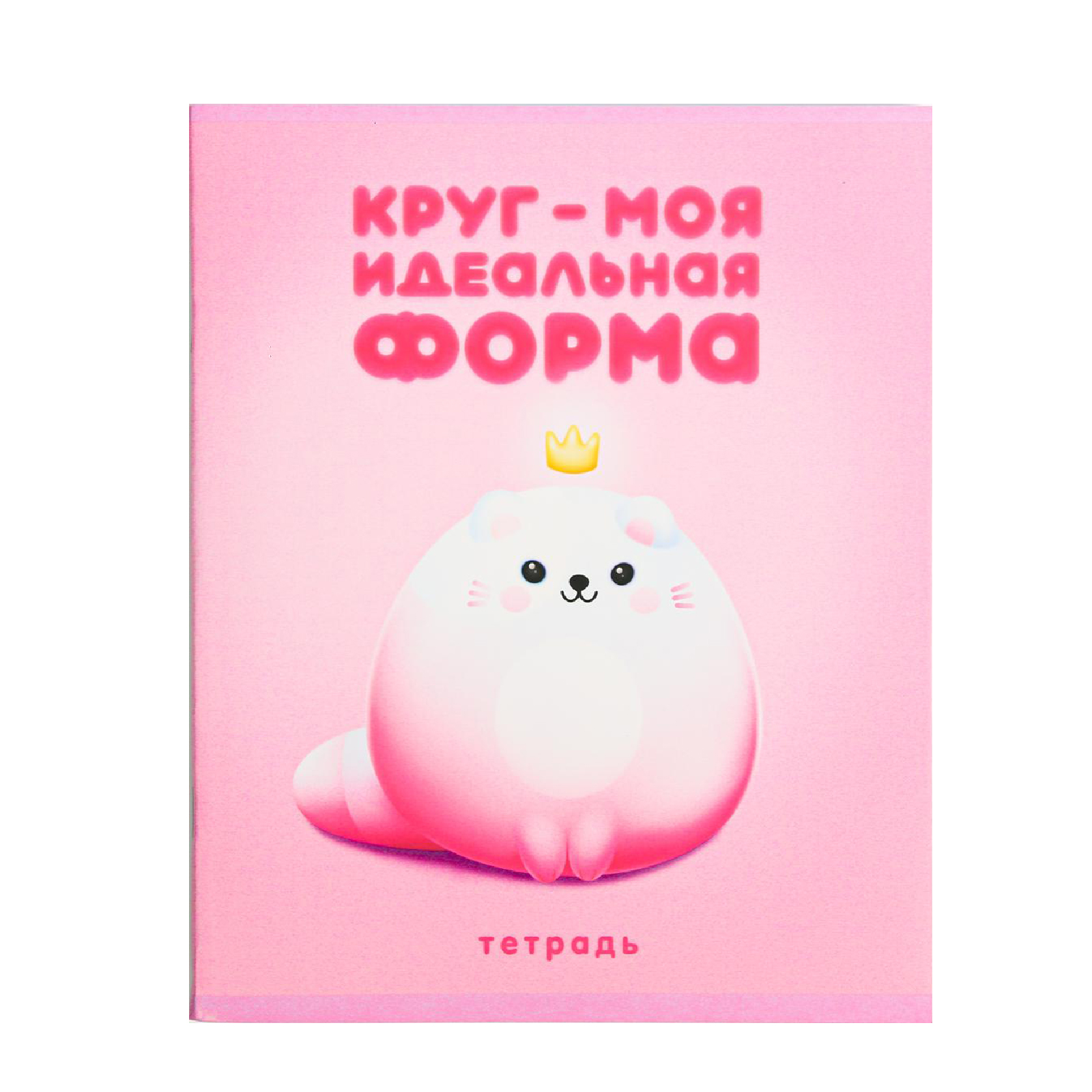 Тетрадь ArtFox А5 48 листов на скрепке «Круг - моя идеальная форма» - фото 1