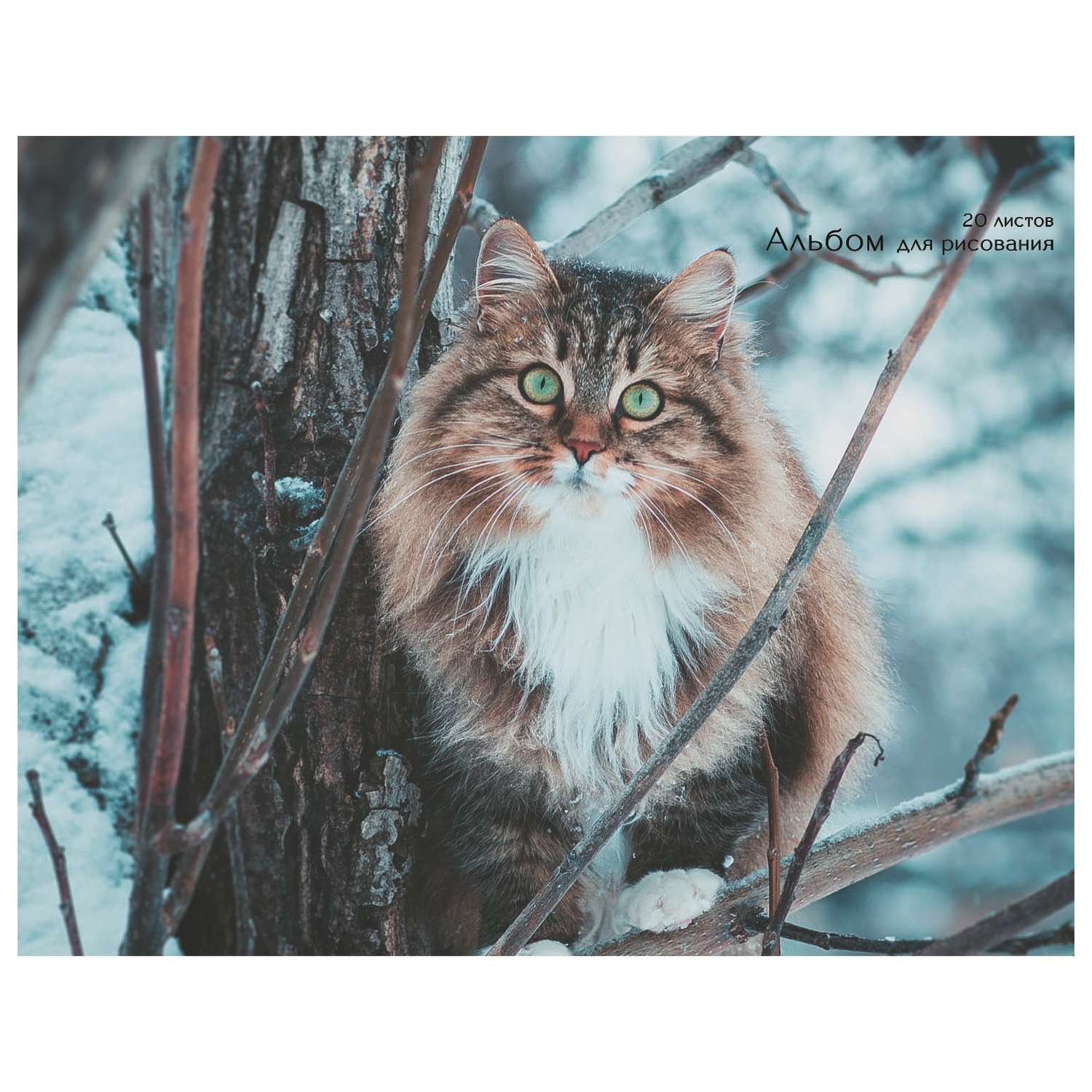 Альбом Unnika land Пушистый кот 20л - фото 1