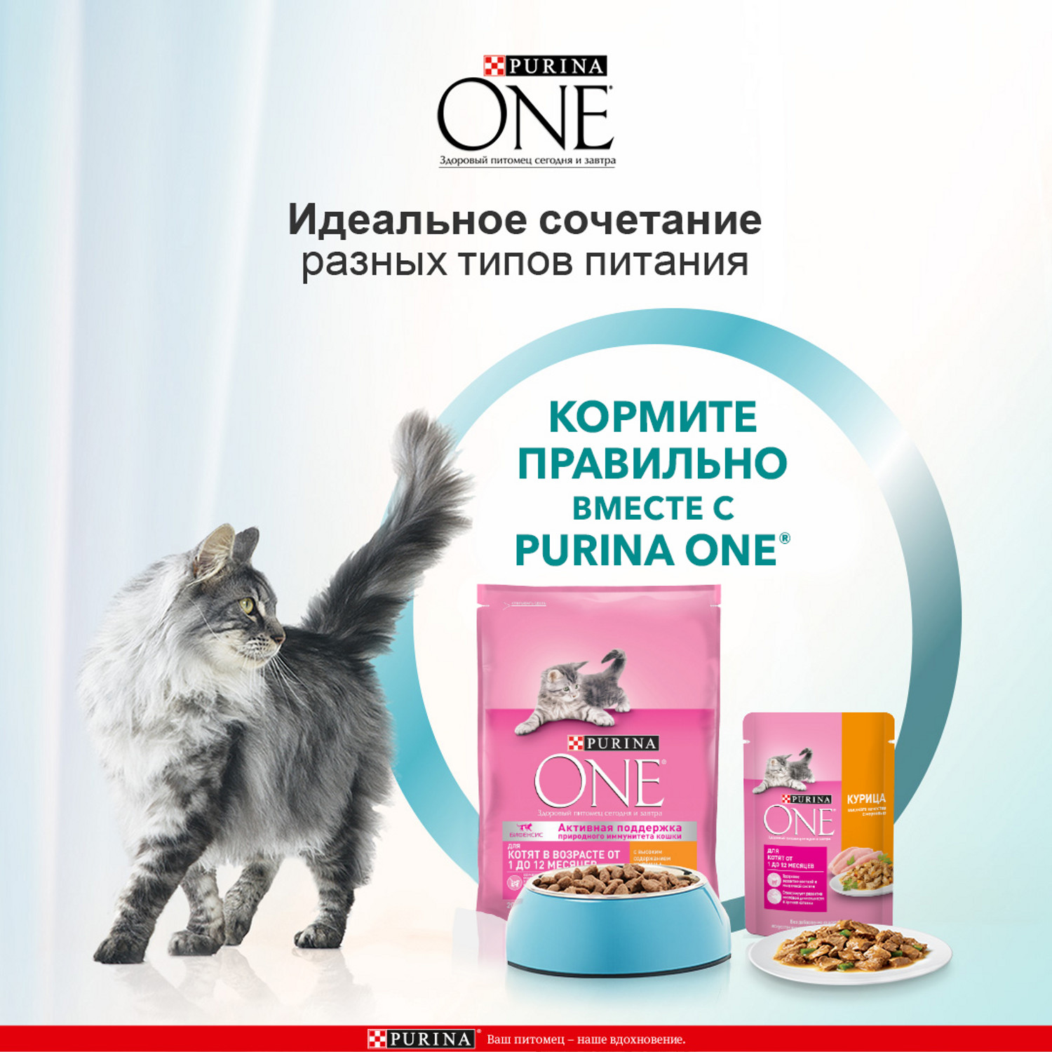 Сухой корм для кошек Purina One 0.75 кг курица (для беременных и кормящих, полнорационный) - фото 5