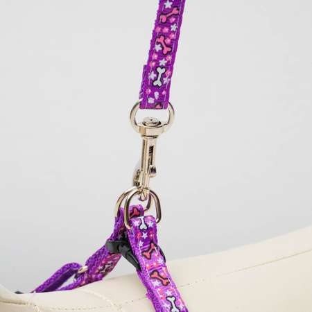 Комплект для собаки Пижон «Звёздные косточки» поводок 120 см шлейка 23-35 см фиолетовый