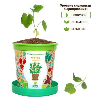 Набор для выращивания Happy Plant Вырасти сам растение в горшочке Огурец корнишон