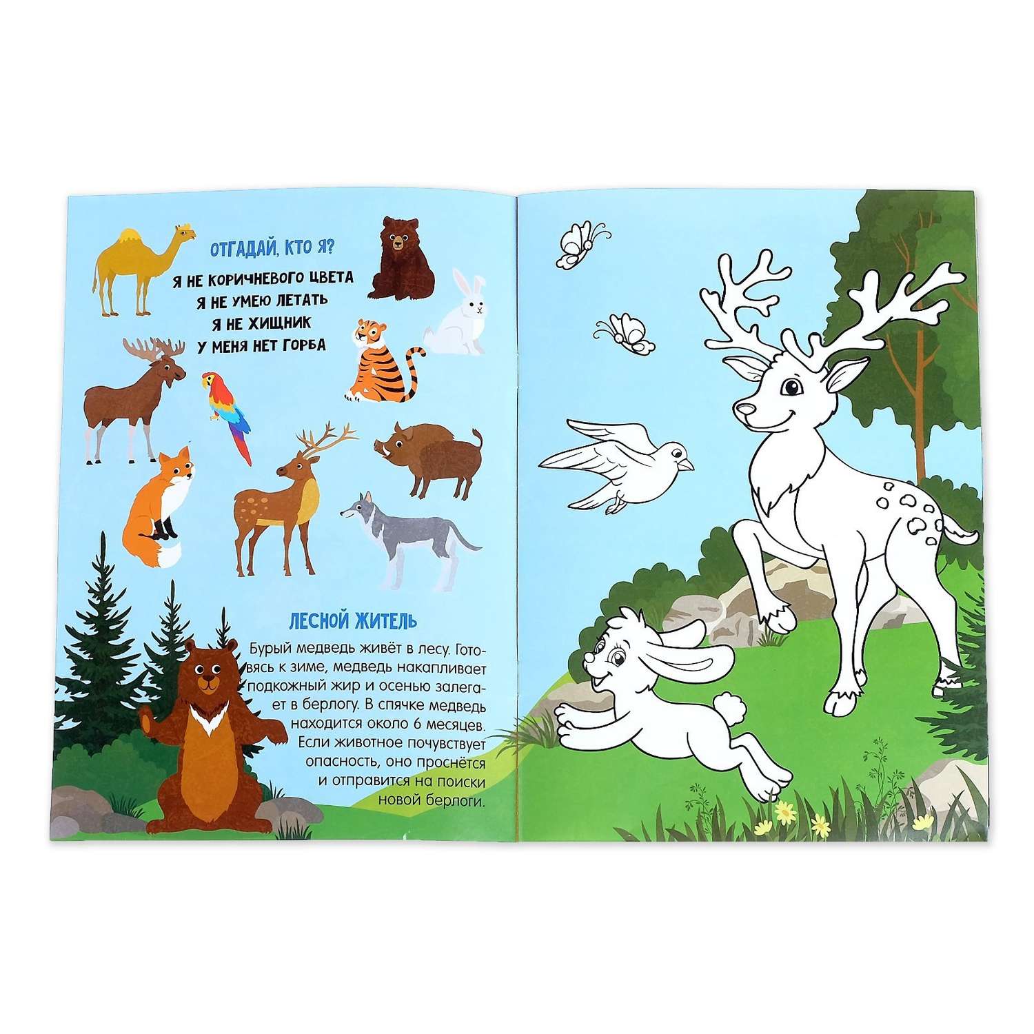 Активити книга Буква-ленд с наклейками и растущими игрушками «Животные планеты»12 стр - фото 3