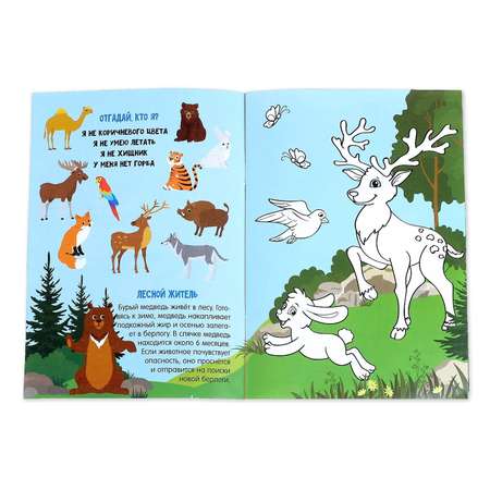 Активити книга Буква-ленд с наклейками и растущими игрушками «Животные планеты»12 стр