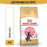 Корм для котят Royal Canin 4кг Maine Coon породы мейн-кун