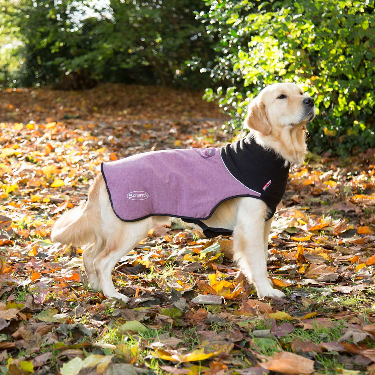 Попона согревающая SCRUFFS Thermal Dog Jacket - фото 5