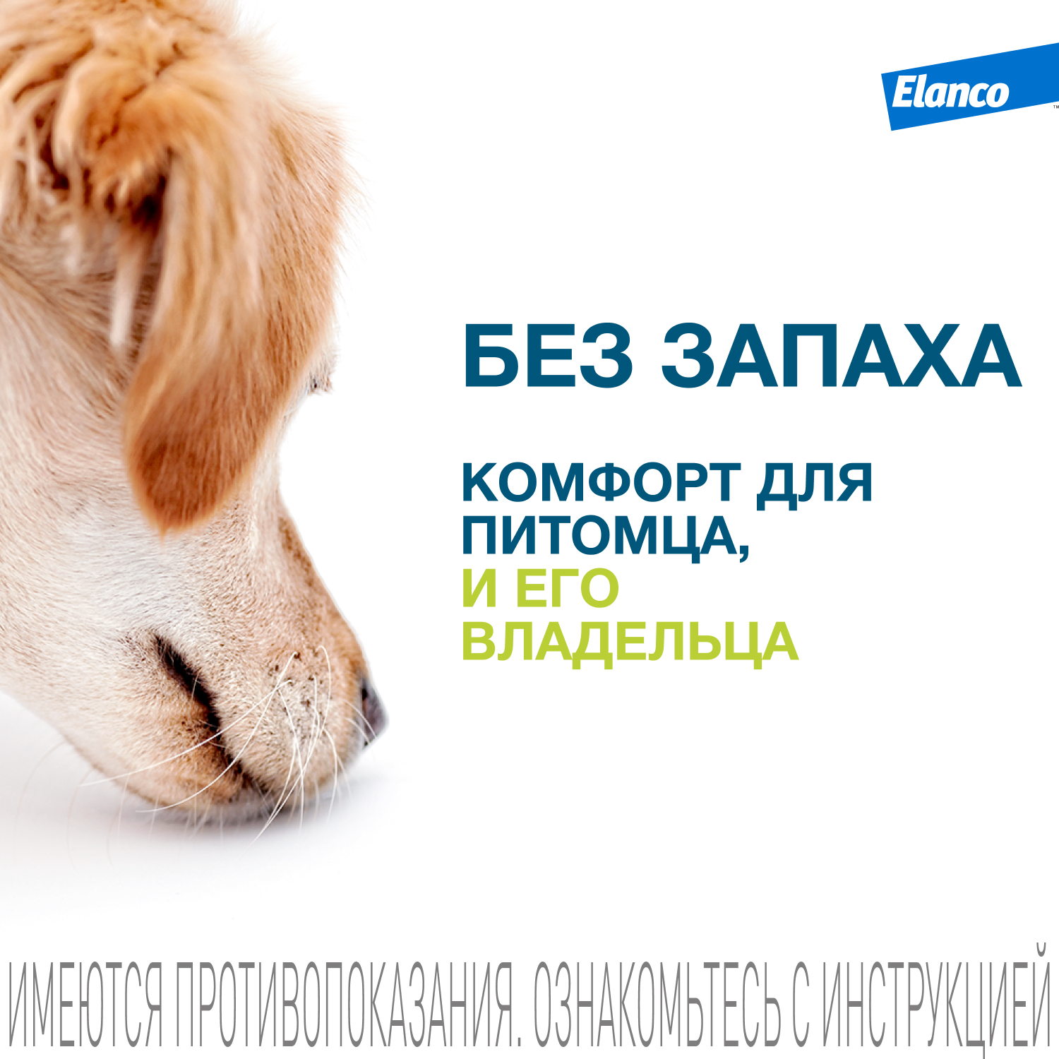 Ошейник для собак Elanco Foresto менее 8кг от блох и клещей защита 8месяцев 38см 65231 - фото 9
