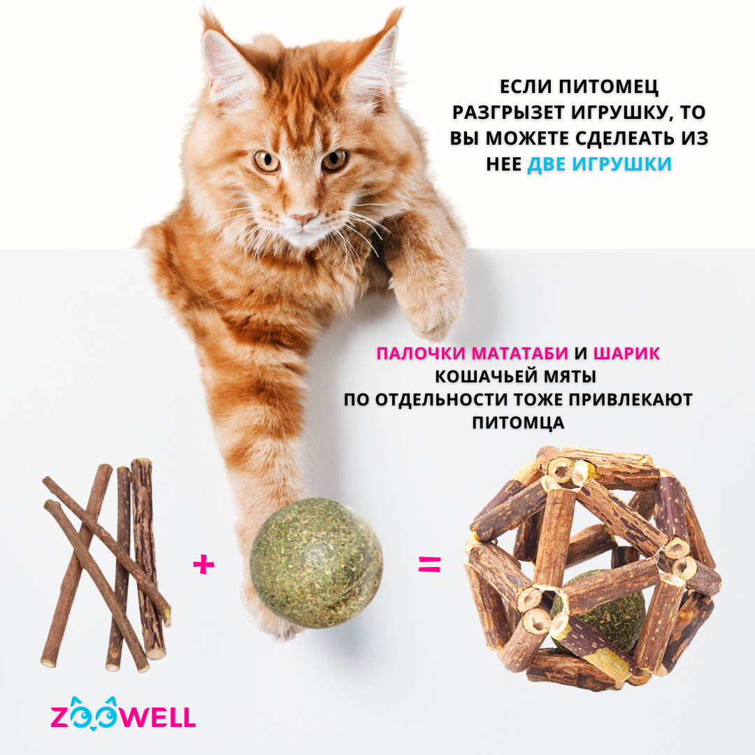Игрушка для кошек ZDK ZooWell шар из палочек Мататаби Actinidia polygama для чистки зубов с кошачьей мятой 6см - фото 5