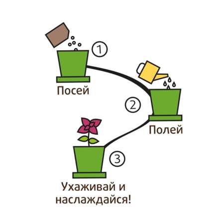 Набор для выращивания Happy Plant Вырасти сам растение в горшочке Фикус райский