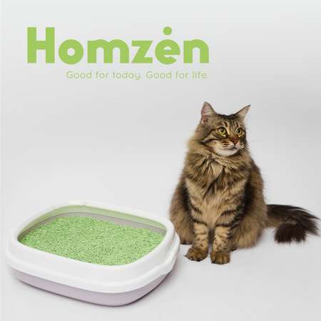 Наполнитель для кошачьего туалета Homzen Tofu Зеленый чай комкующийся 6л