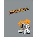 Тетрадь Полиграф Принт 48 лист. (Литература)