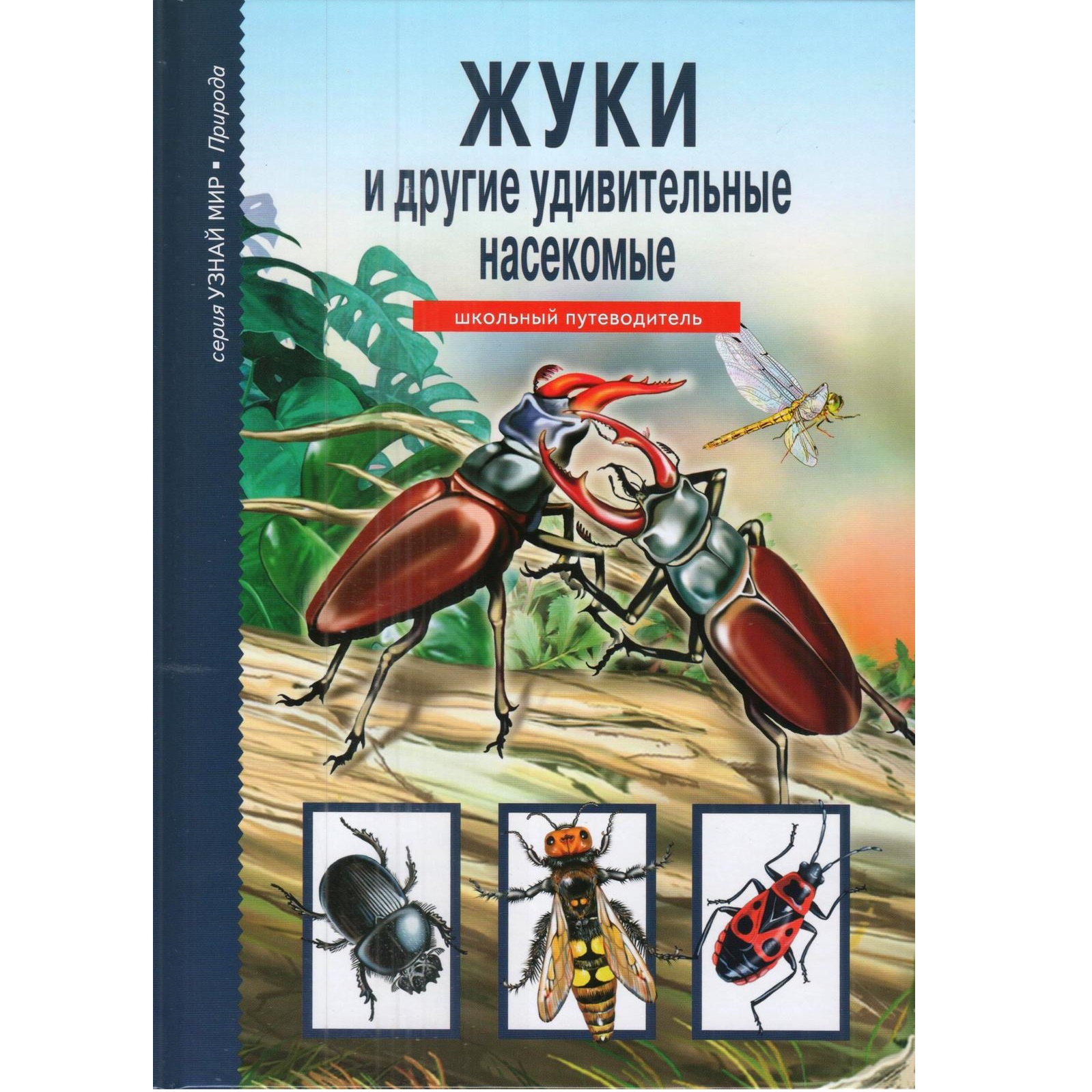 Книга Лада Жуки и другие удивительные насекомые Школьный путеводитель  купить по цене 364 ₽ в интернет-магазине Детский мир