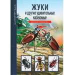 Книга Лада Жуки и другие удивительные насекомые Школьный путеводитель