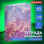 Тетрадь на кольцах Brauberg со сменным блоком для учебы А5 120 листов в клетку