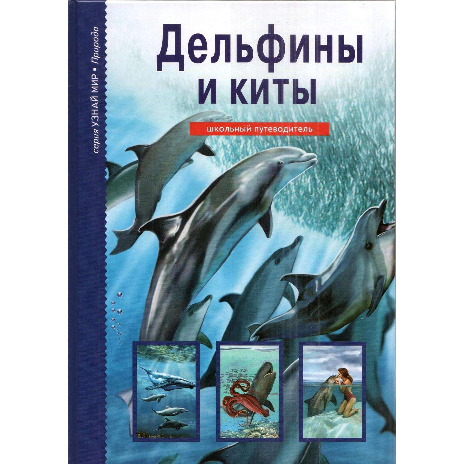 Книга Лада Дельфины и киты. Школьный путеводитель - фото 1