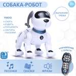 Робот собака Автоград «Дружок трюкач» звуковые эффекты управление с пульта