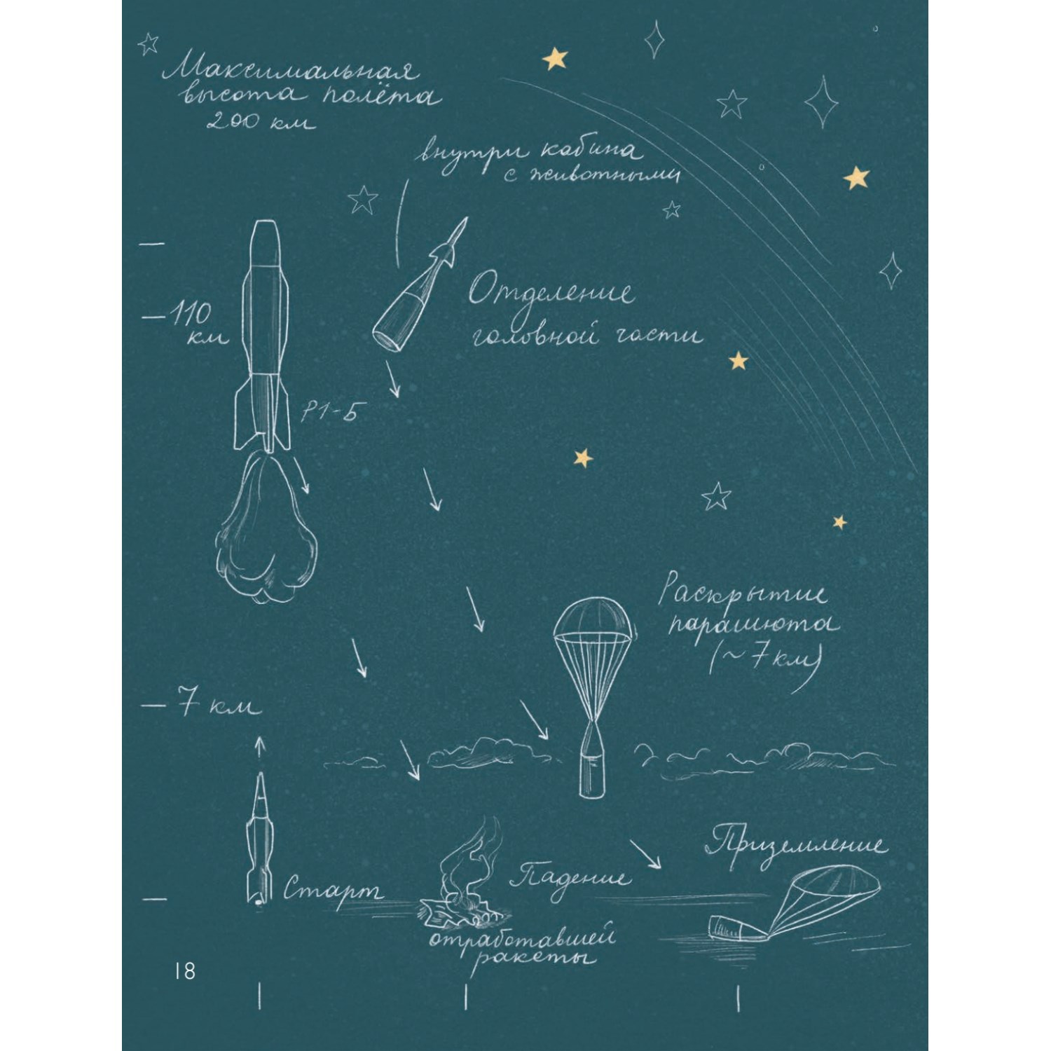 Книга Животные-космонавты. Первые покорители космоса - фото 3