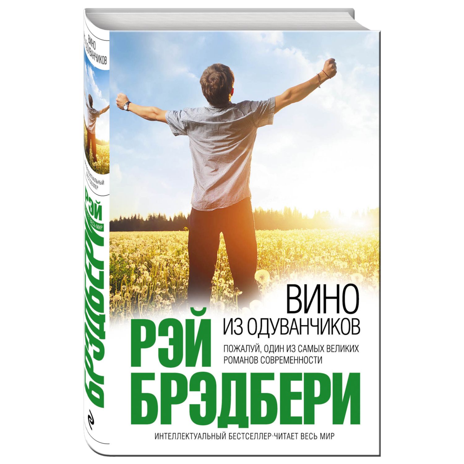 Вино из одуванчиков читать на русском. Брэдбери вино из одуванчиков. Брэдбери вино из одуванчиков иллюстрации. Вино из одуванчиков презентация. Вино из одуванчиков в живописи.