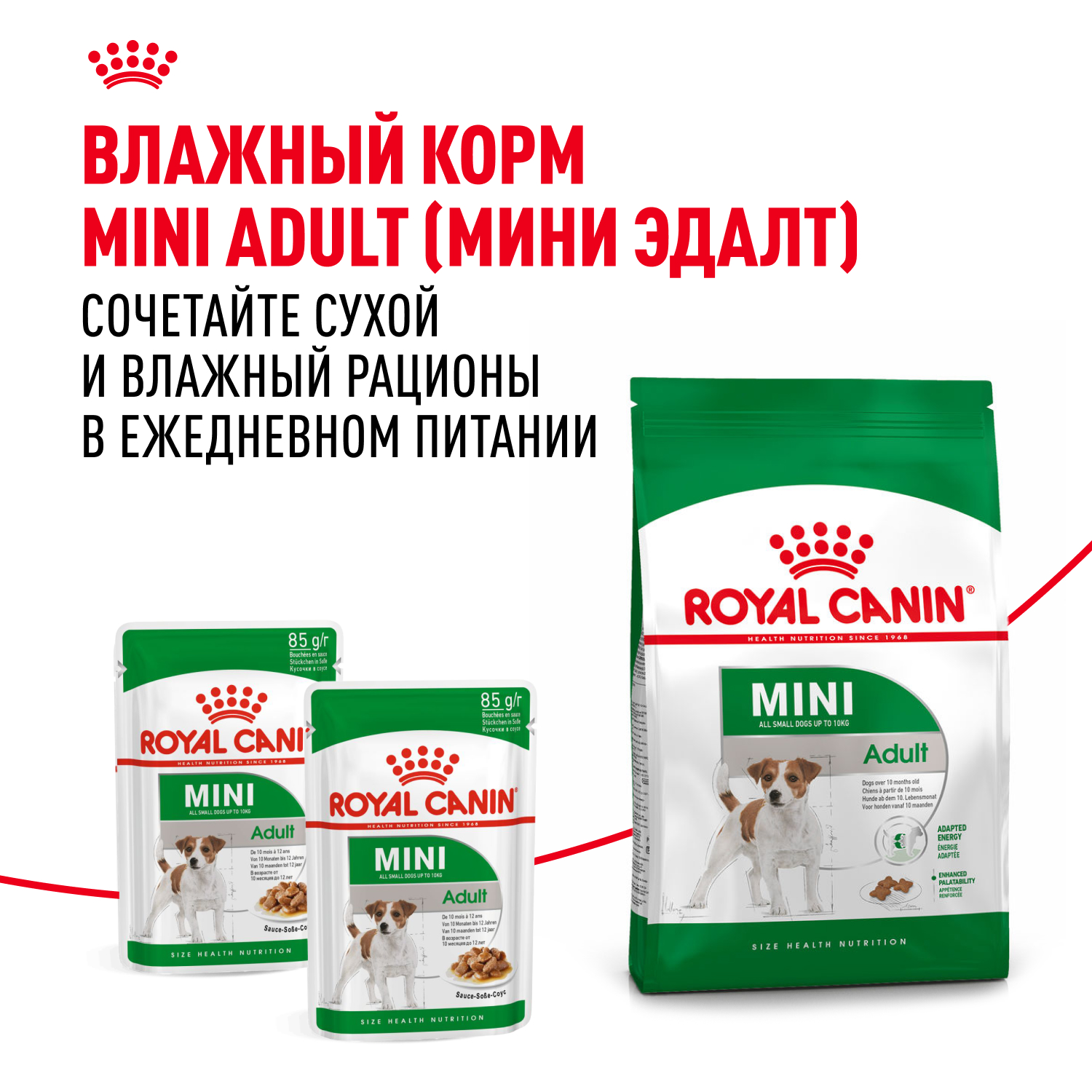 Сухой корм для собак ROYAL CANIN 2 кг (для домашних, полнорационный) - фото 9