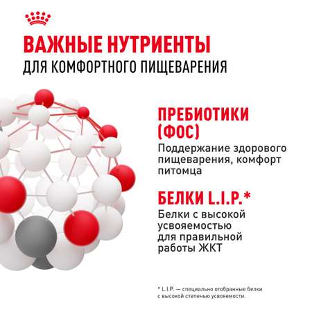 Корм сухой для кошек ROYAL CANIN Sensible 33 400г с чувствительной пищеварительной системой