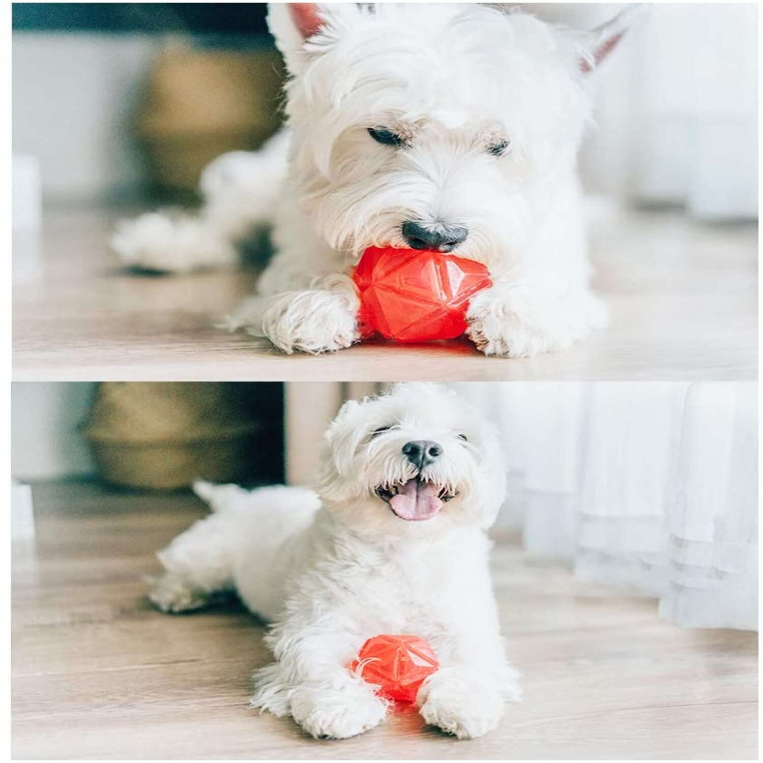 Игрушка для собак ZDK светящийся мяч Алмаз красный с пищалкой ZooWell - фото 4