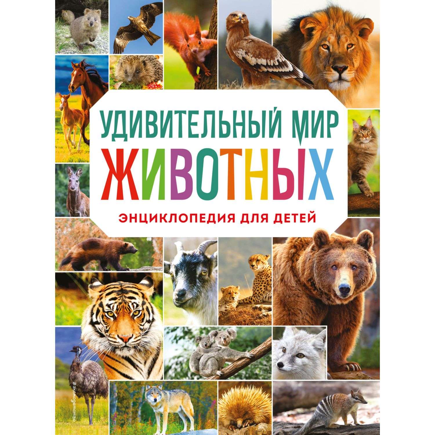 Евгений Чарушин “Рассказы о животных”