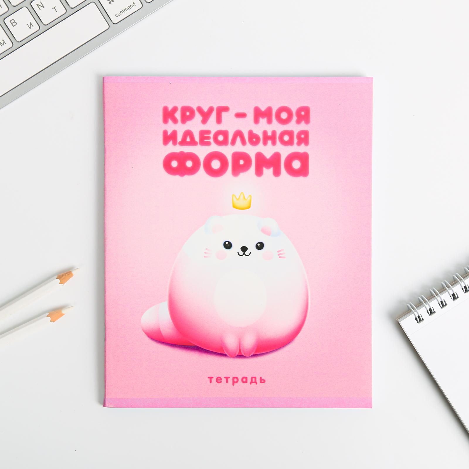 Тетрадь ArtFox А5 48 листов на скрепке «Круг - моя идеальная форма» - фото 2