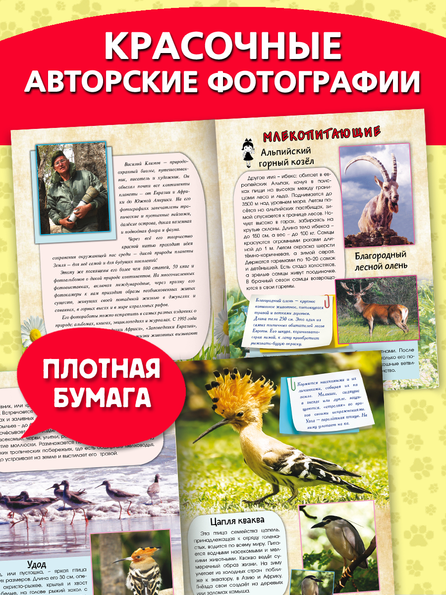 Книга Алтей Живой мир природы. Европа - фото 7