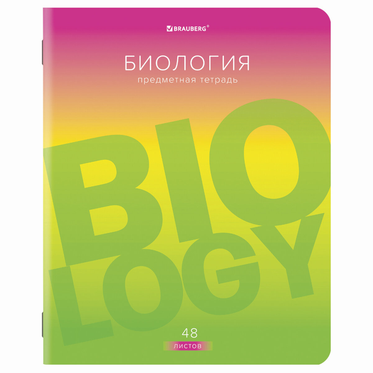 Набор тетрадей Brauberg предметные со справочным материалом в клетку/линейку 10 предметов 48 листов Gradient - фото 9