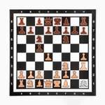 Демонстрационные шахматы Sima-Land «Время игры» на магнитной доске 32 шт поле 60х60 см
