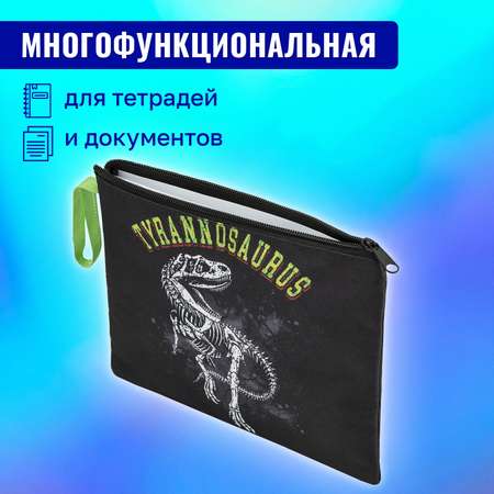 Папка для тетрадей Brauberg труда рисования А4 для мальчика в школу