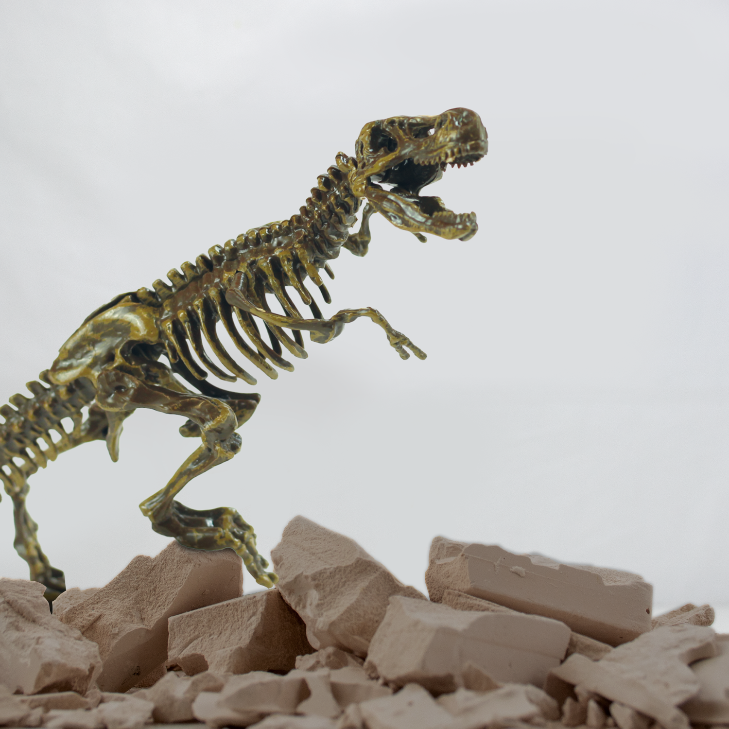 Набор для экспериментов KONIK Science раскопки ископаемых животных Ти-рекс - фото 5