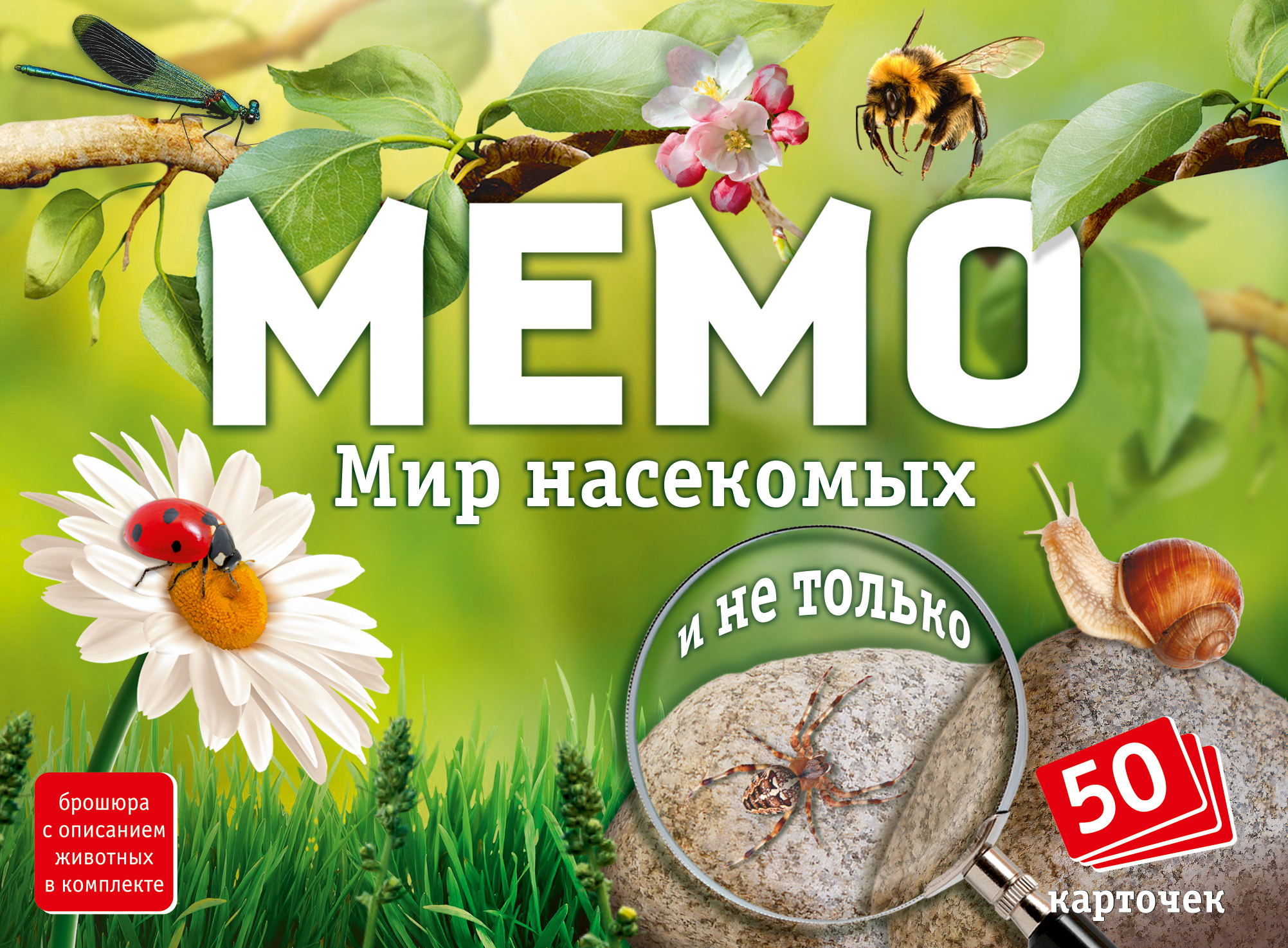 Мемо Нескучные игры Мир насекомых и не только - фото 1