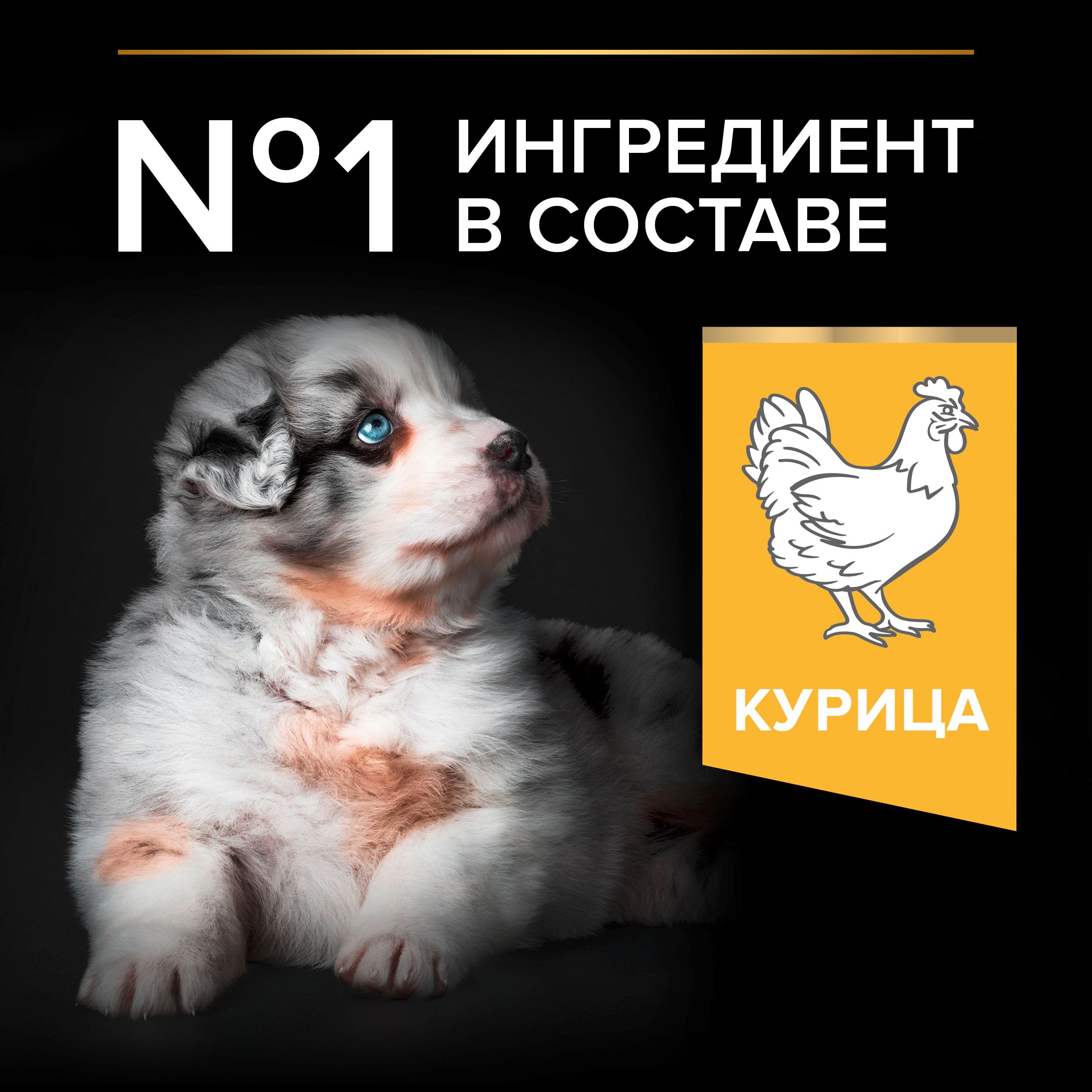 Сухой корм для собак PRO PLAN 12 кг курица (для беременных и кормящих, для здоровья полости рта, полнорационный) - фото 4