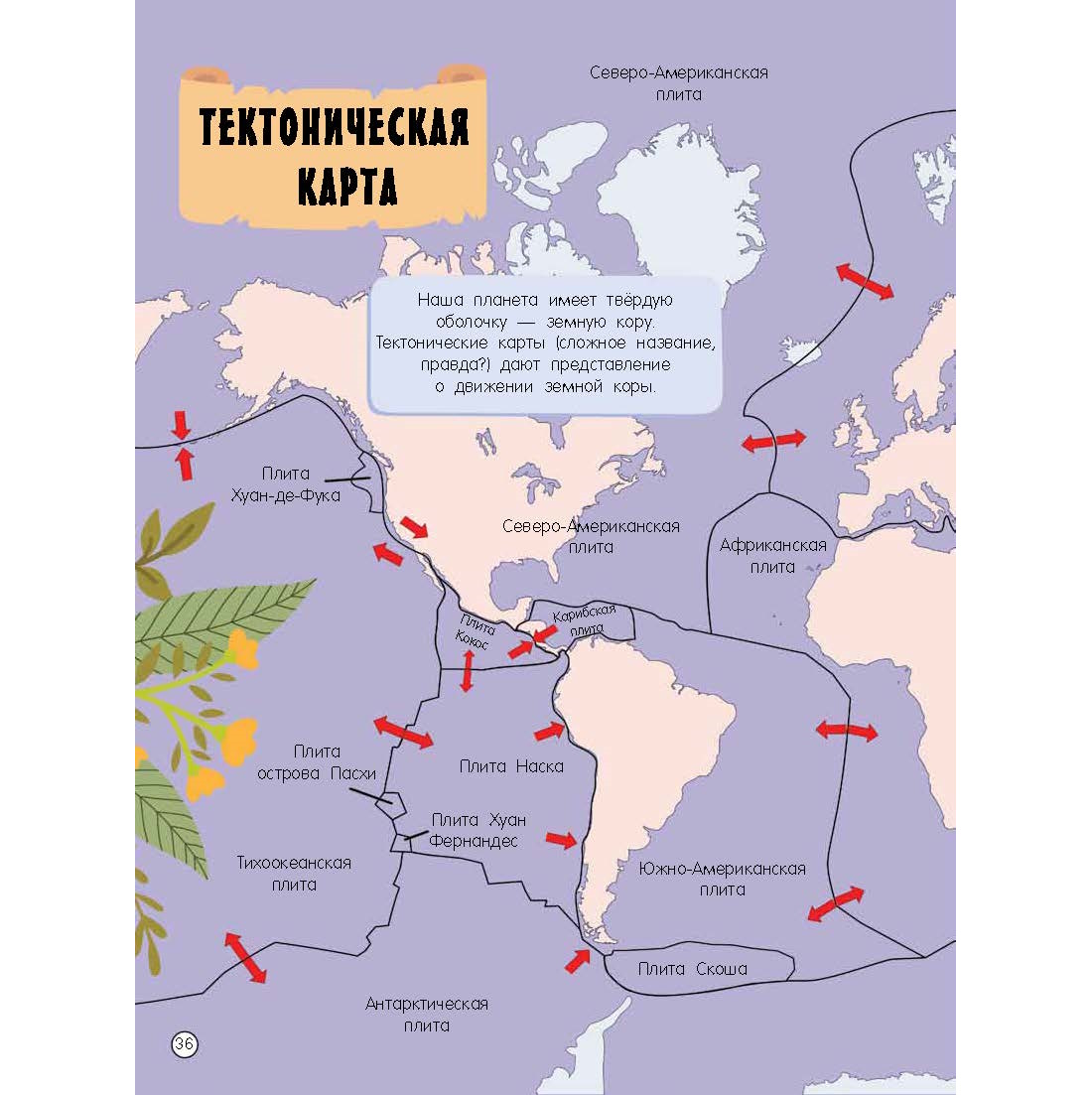 Книга Атлас мира с обучающими заданиями и раскраской - фото 7