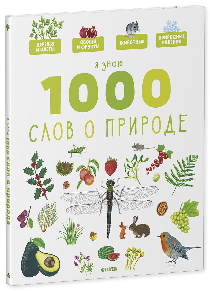 Книга Clever Издательство Главная книга малыша. Я знаю 1000 слов о природе  купить по цене 442 ₽ в интернет-магазине Детский мир