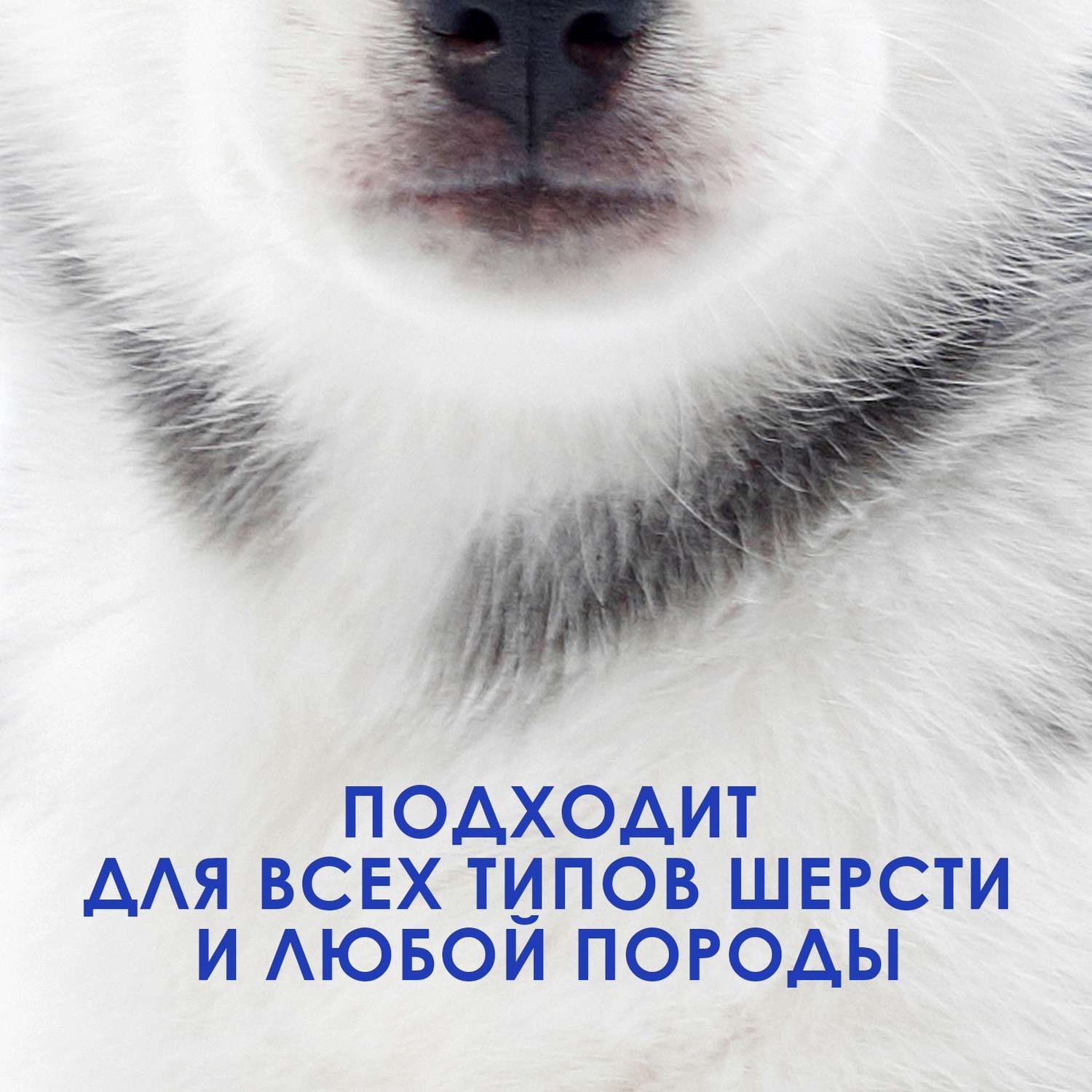 Шампунь для собак и кошек ZOORIK гипоаллергенный 500 мл - фото 5