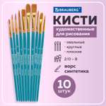 Кисти для рисования Brauberg синтетические набор 10 штук 201030