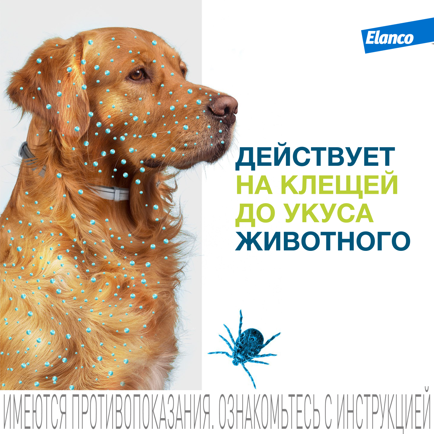 Ошейник для собак Elanco Foresto менее 8кг от блох и клещей защита 8месяцев 38см 65231 - фото 4