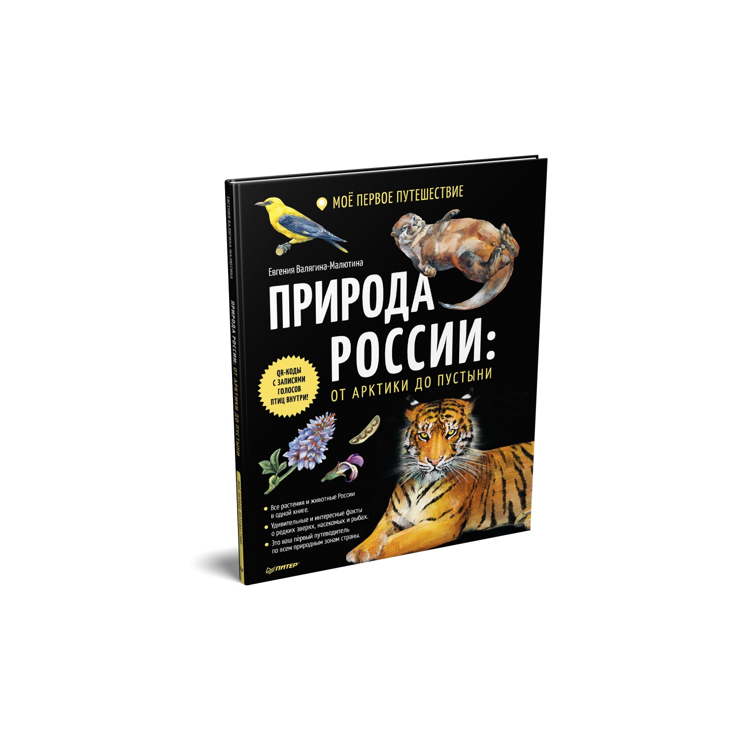 Книга ПИТЕР Природа России от Арктики до пустыни Моё первое путешествие  купить по цене 573 ₽ в интернет-магазине Детский мир