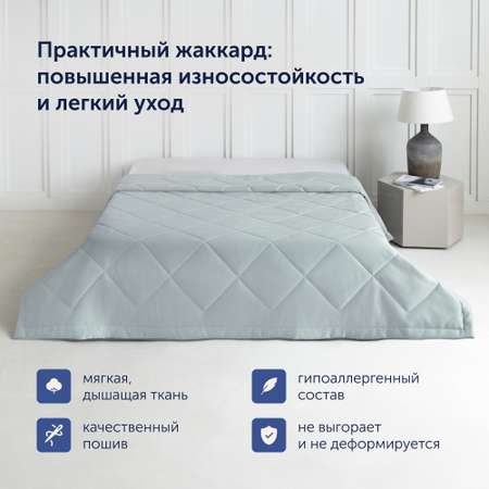 Комплект покрывало + наволочка buyson BuyFlora Steel 160х220/45х45 см