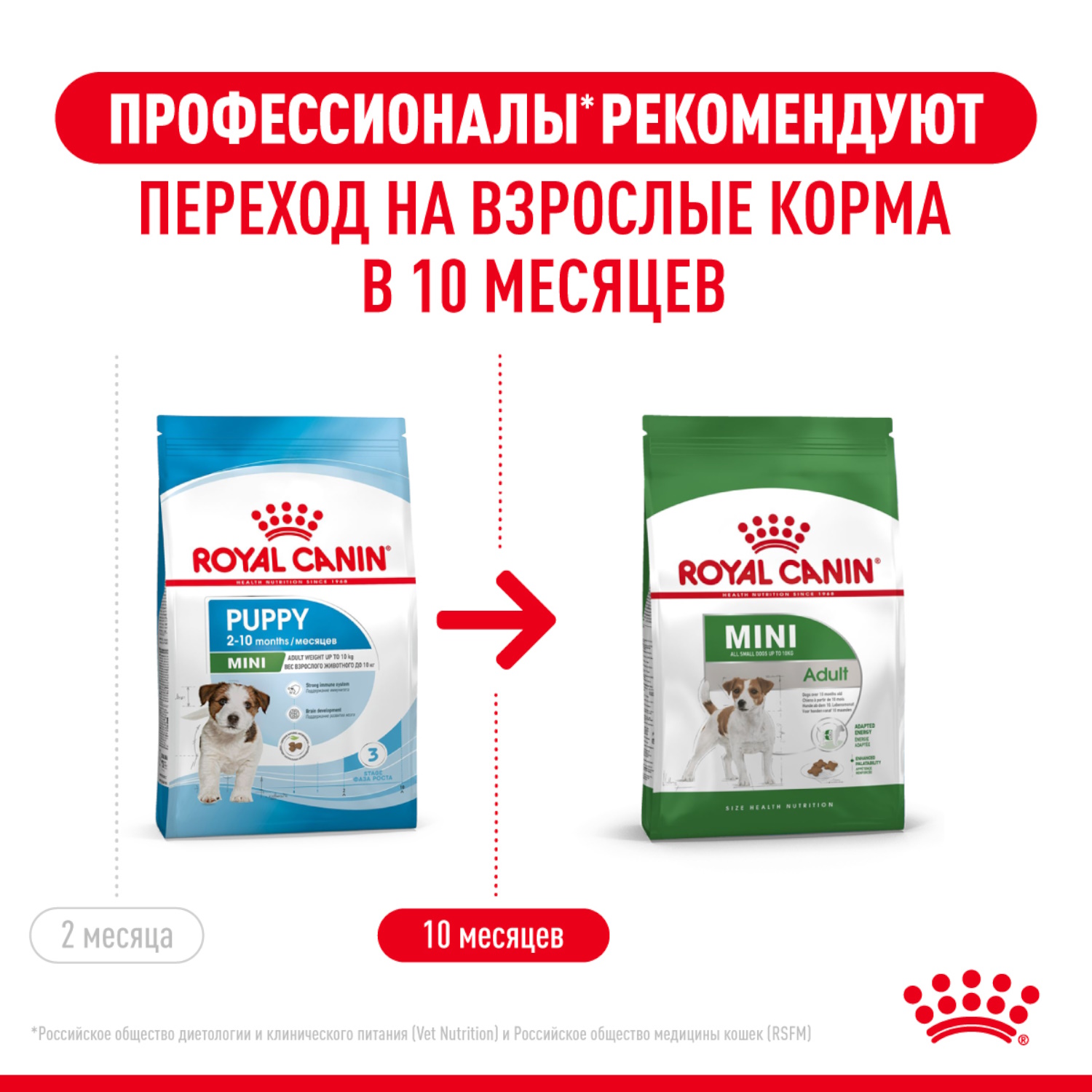 Корм для щенков ROYAL CANIN Puppy мелких пород 2кг - фото 9