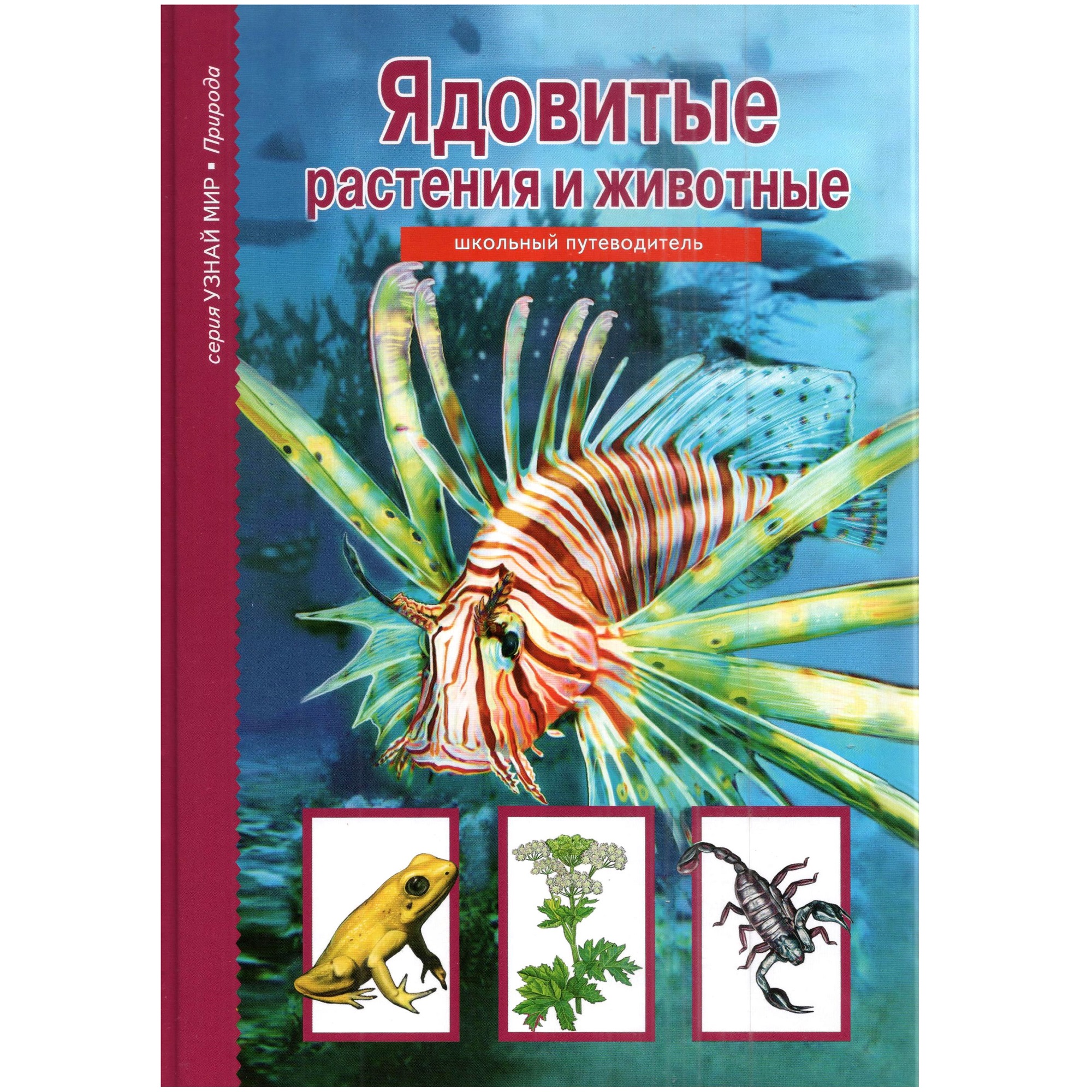 Книга Лада Удивительные места нашей планеты. Школьный путеводитель - фото 1