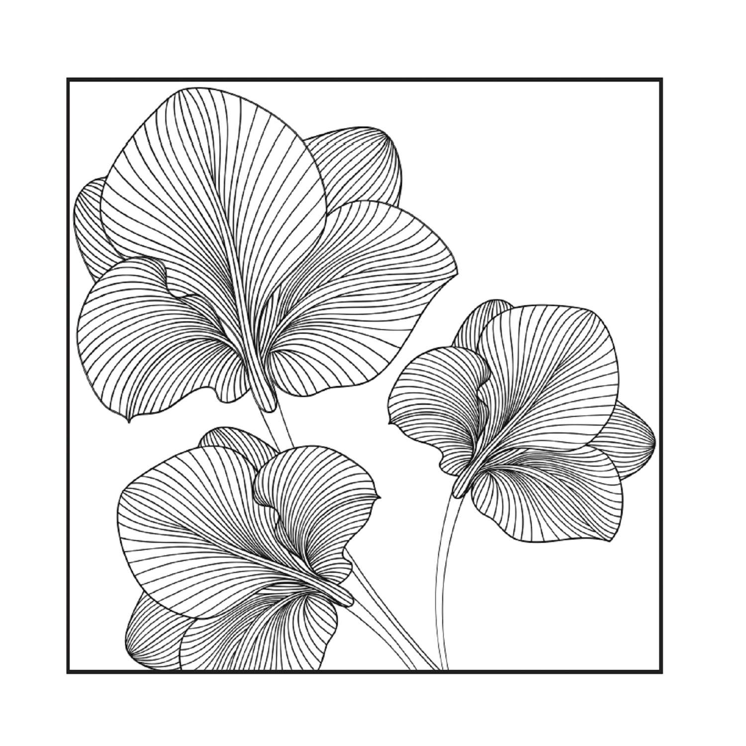 Раскраска Полет бабочки Рисунки для медитаций - фото 4